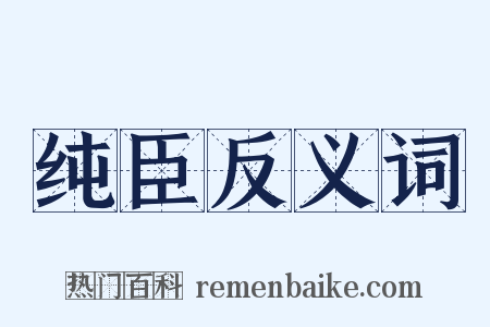 纯臣反义词是什么意思的图片